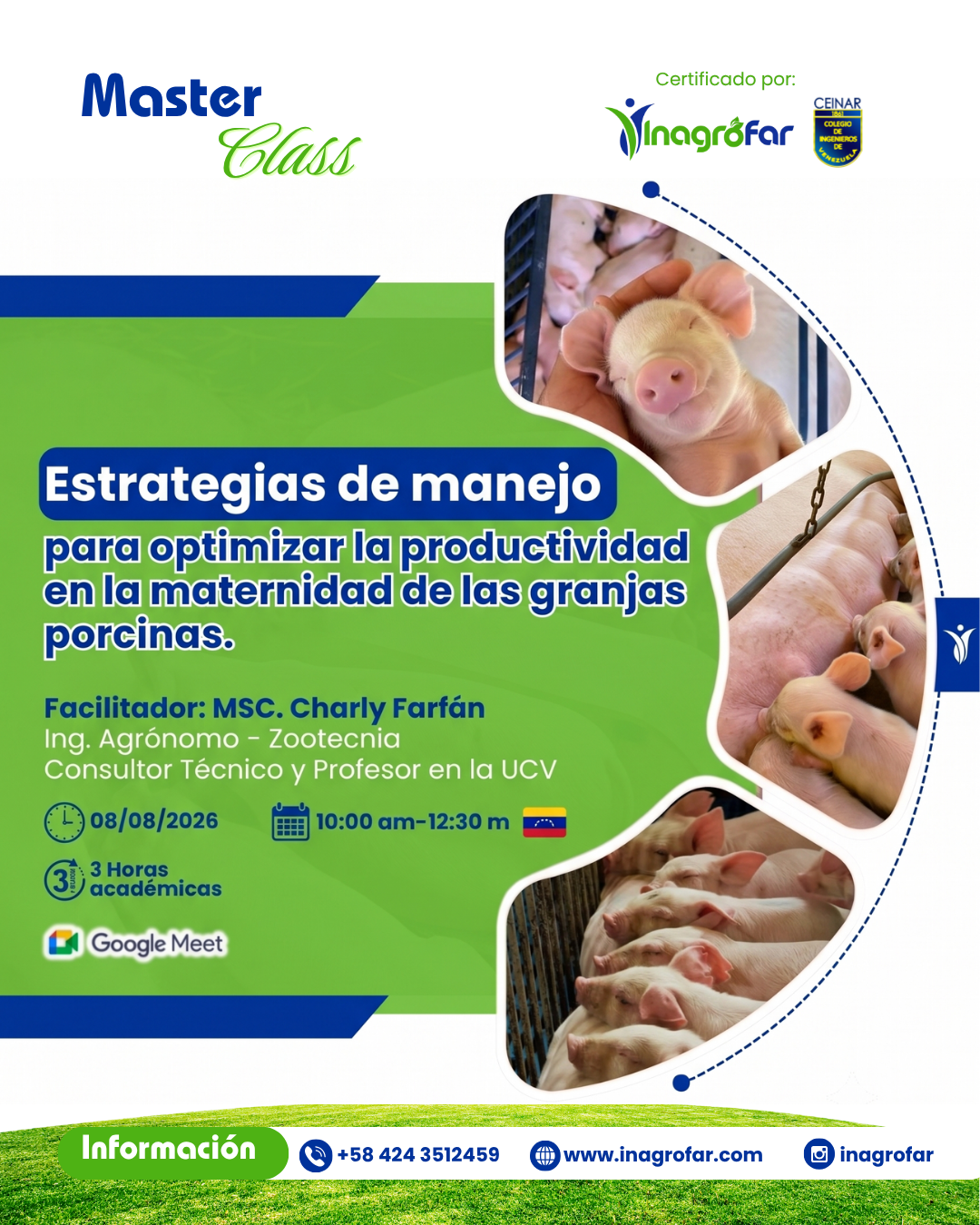 Master class maternidad porcina